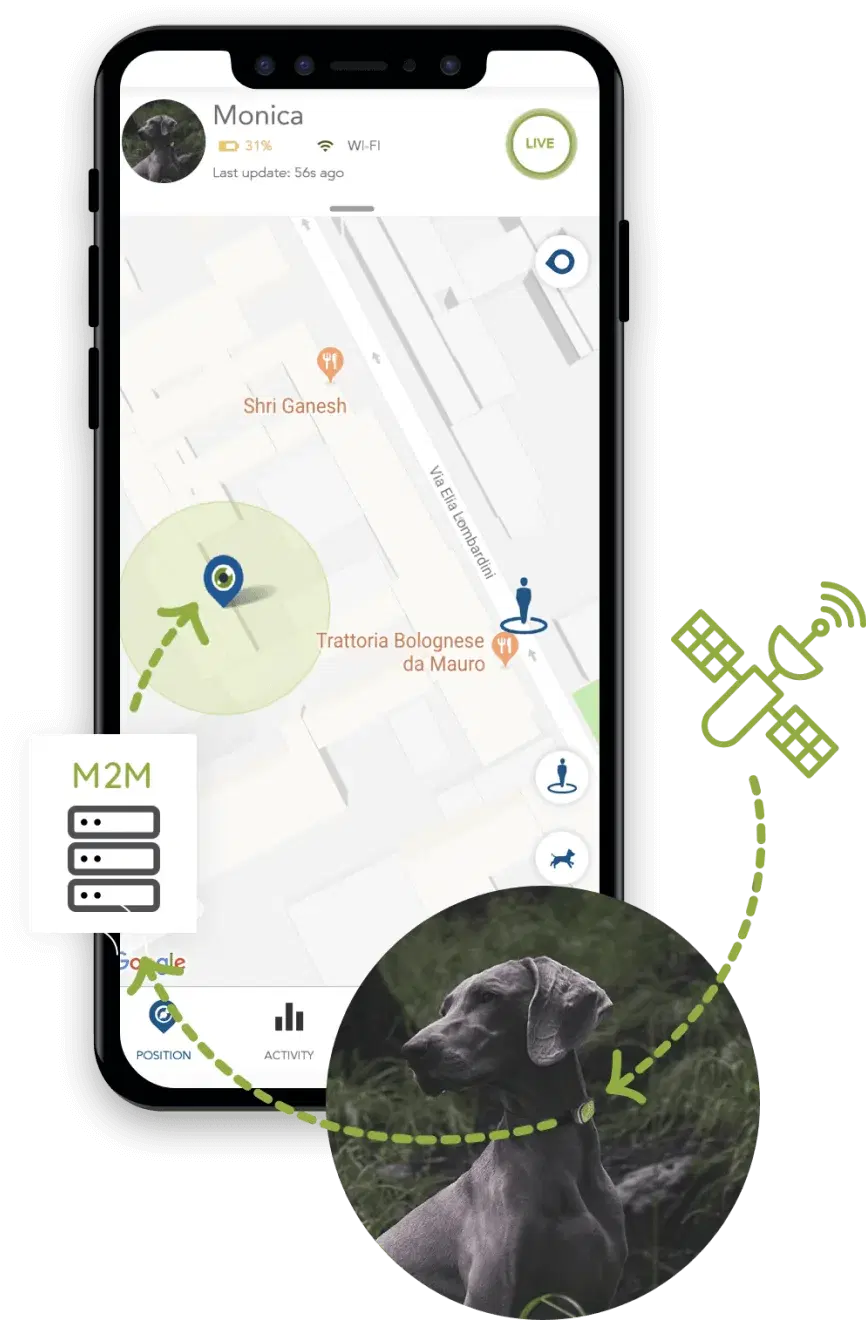 Kippy Mobile App – solution illustration