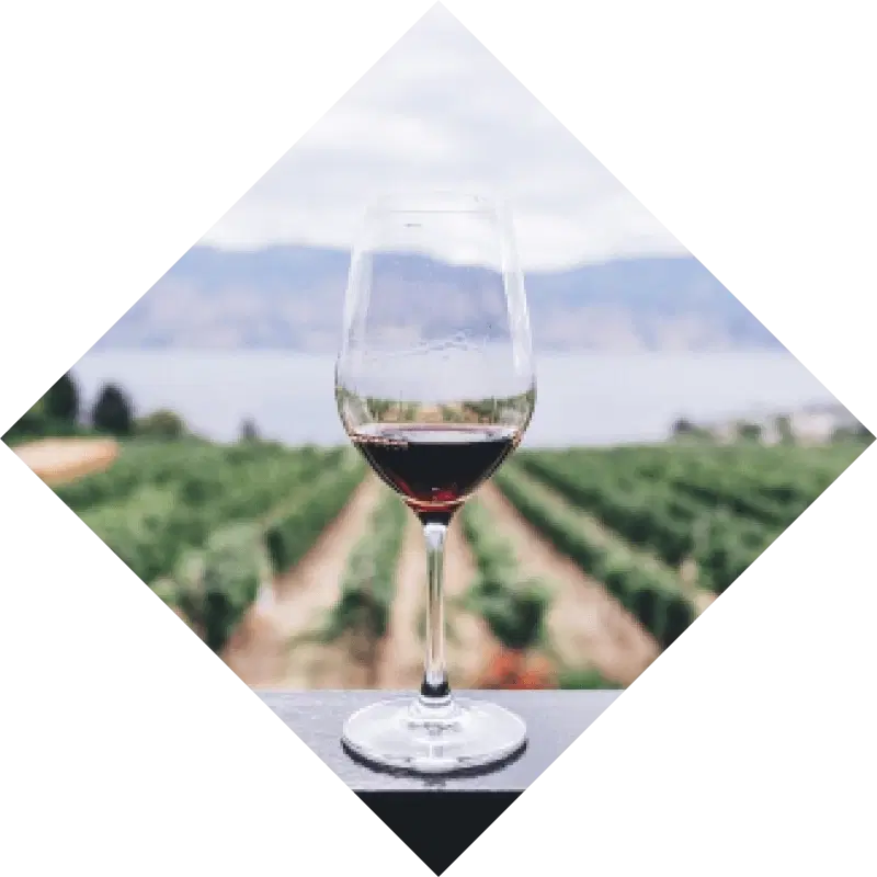 Liquid Vineyards – client overview