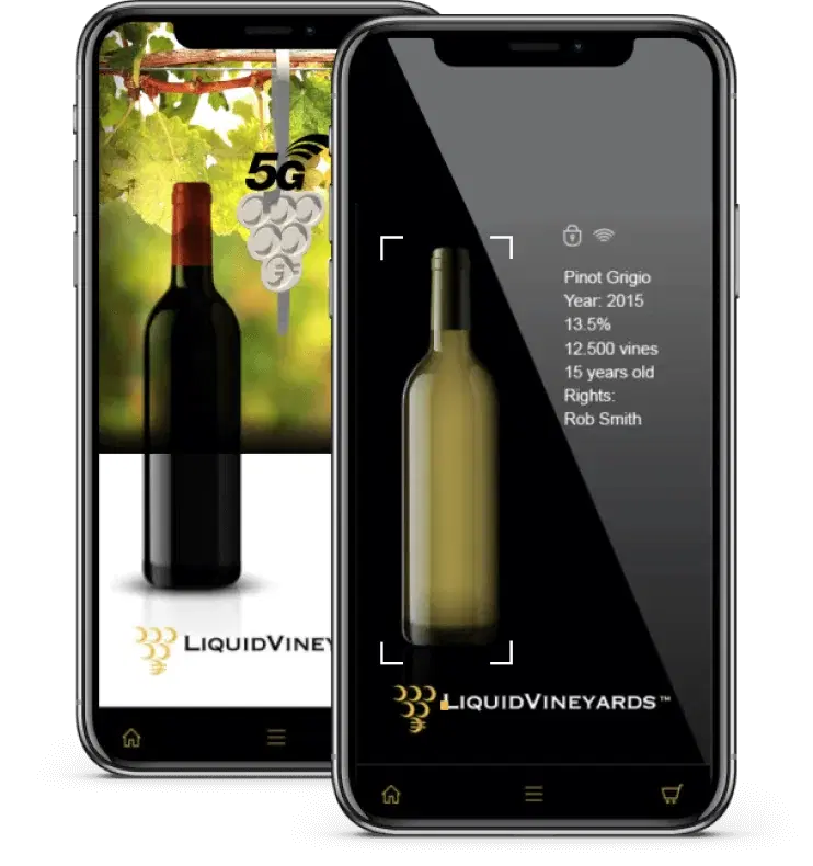 Liquid Vineyards – solution illustration