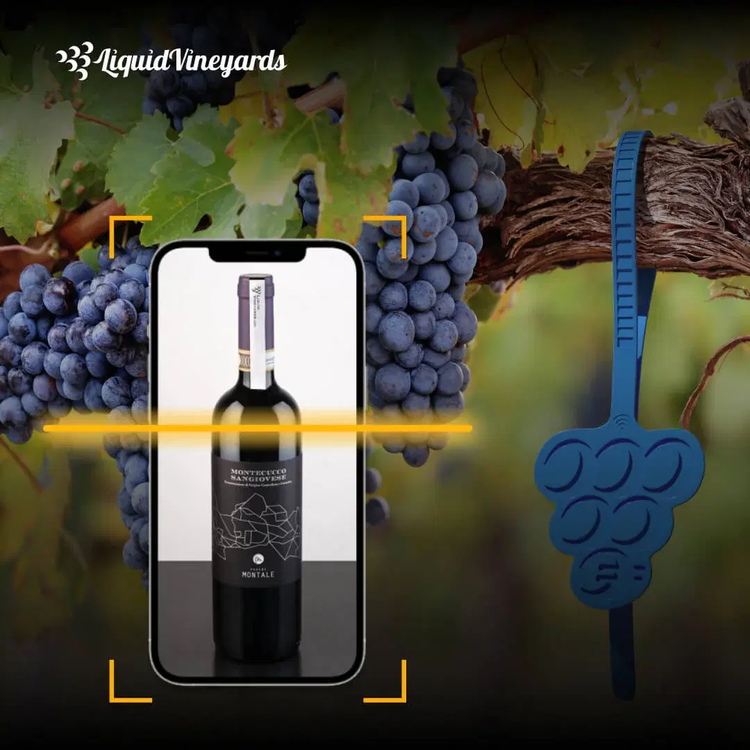 Liquid Vineyards Case